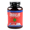 Tribulus with Maca (50 / 100 kapsul)