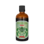 Ekstrakt Ginkgo Biloba – Ginkgo Biloba Max (100 ml)